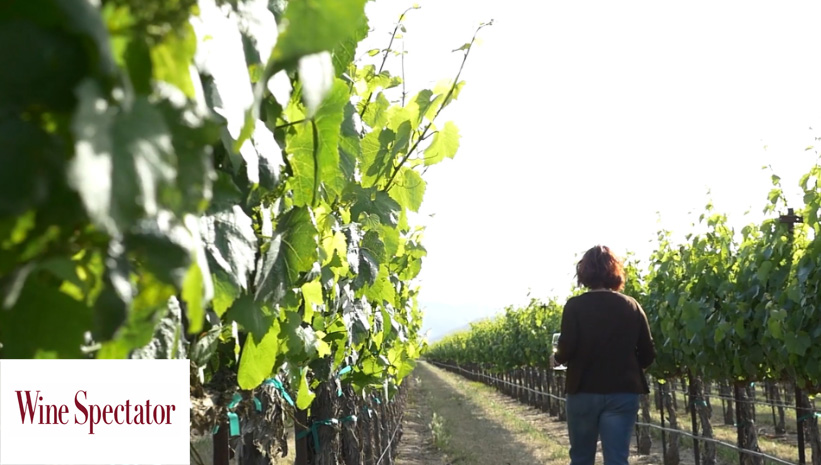 Family-owned J. Lohr Vineyards & Wines continues its legacy of sustainability