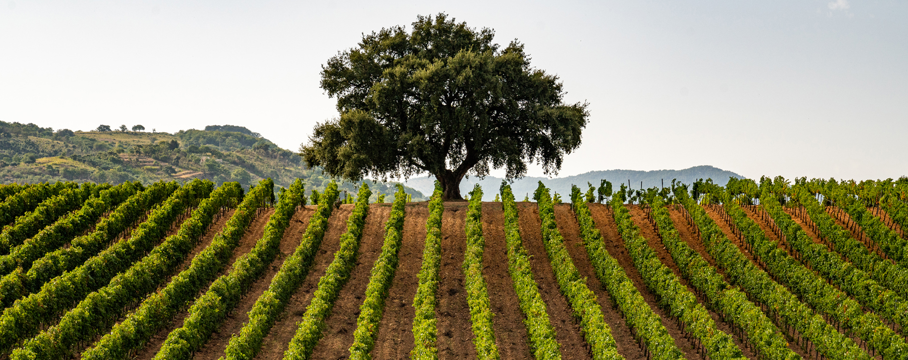 The Spotlight is on Sicily: A Look into the Island’s Past, Present, and Bright Future